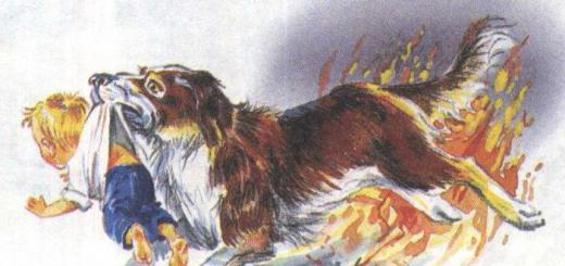 Толстый пожарный. Пожарные собаки (быль). Пожар в Ясной Поляне